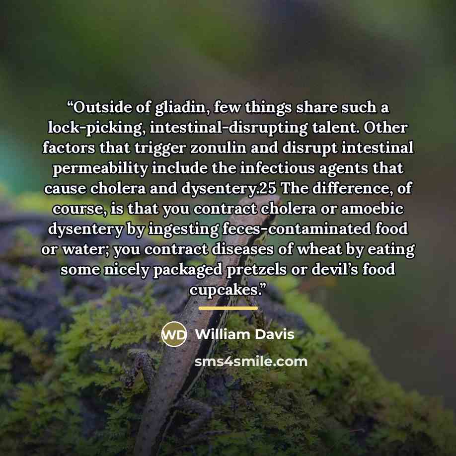 “Outside of gliadin, few things share such a lock-picking, intestinal-disrupting talent. Other factors that trigger zonulin and disrupt intestinal permeability include the infectious agents that cause cholera and dysentery.25 The difference, of course, is that you contract cholera or amoebic…” quote by William Davis