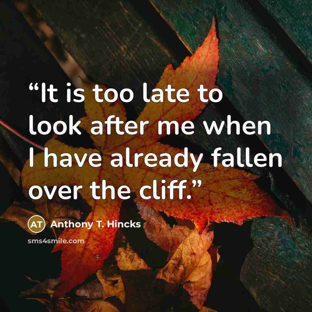 “It is too late to look after me when I have already fallen over the cliff.” quote by Anthony T. Hincks