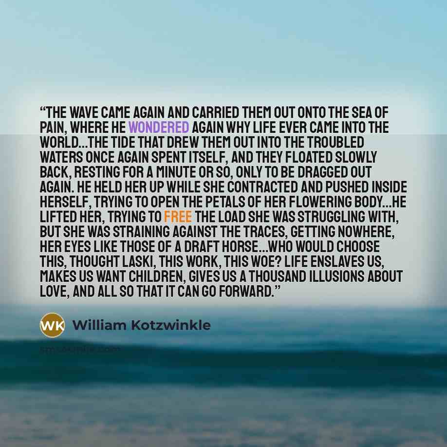 “The wave came again and carried them out onto the sea of pain, where he wondered again why life ever came into the world...The tide that drew them out into the troubled waters once again spent itself, and they floated slowly back, resting for a minute or so, only to be dragged out again. He held…” quote by William Kotzwinkle