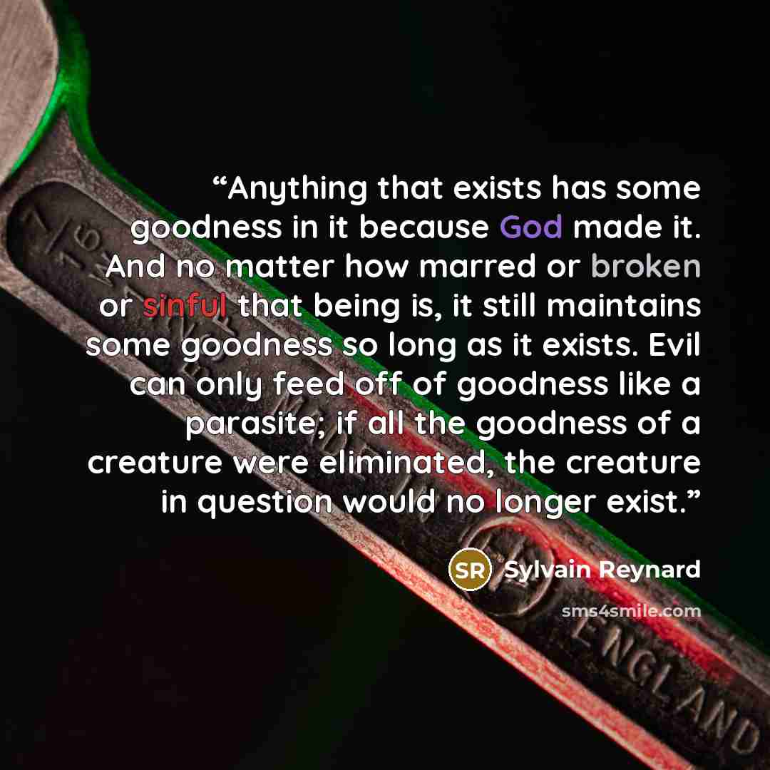 “Anything that exists has some goodness in it because God made it. And no matter how marred or broken or sinful that being is, it still maintains some goodness so long as it exists. Evil can only feed off of goodness like a parasite; if all the goodness of a creature were eliminated, the creature…” quote by Sylvain Reynard