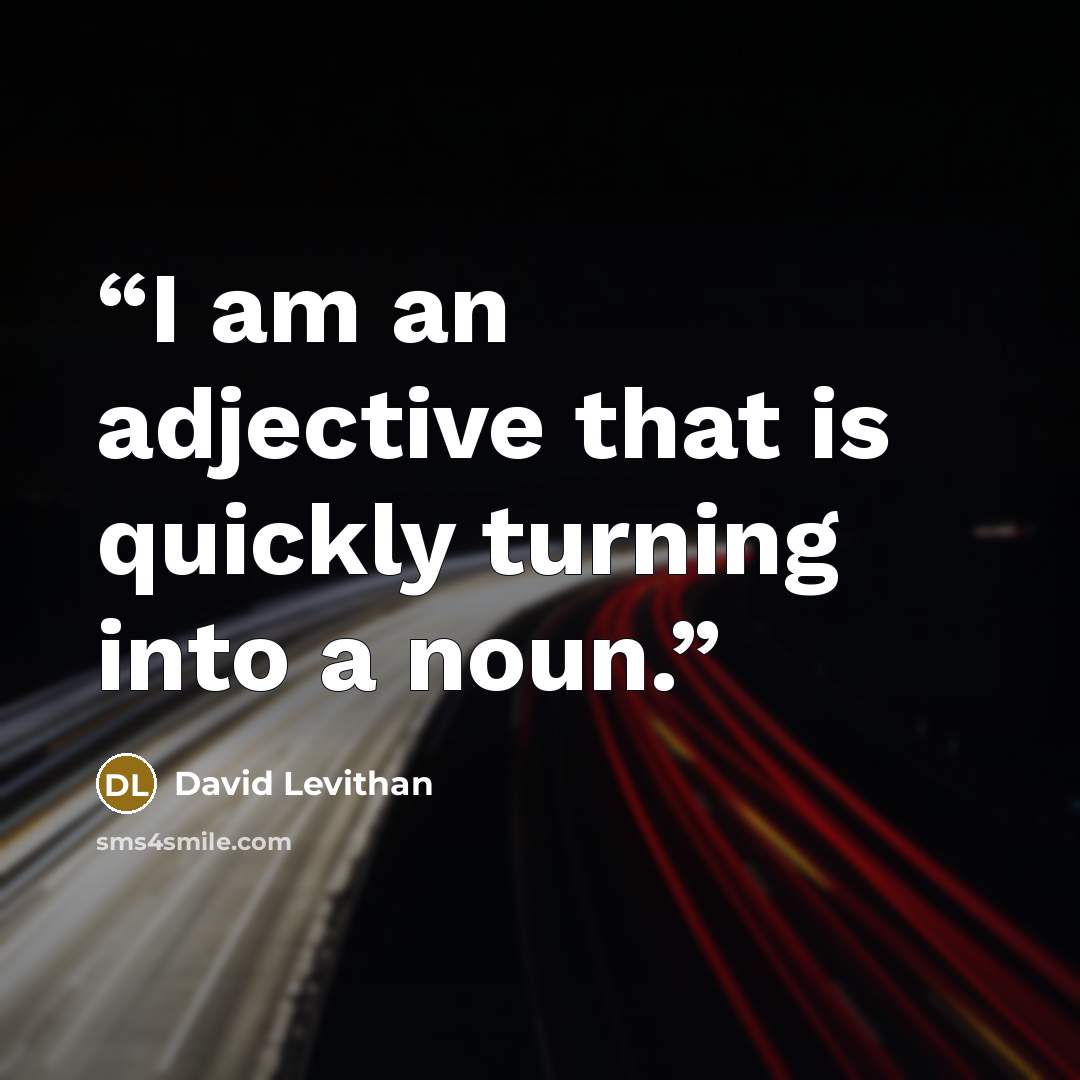 “I am an adjective that is quickly turning into a noun.” quote by David Levithan
