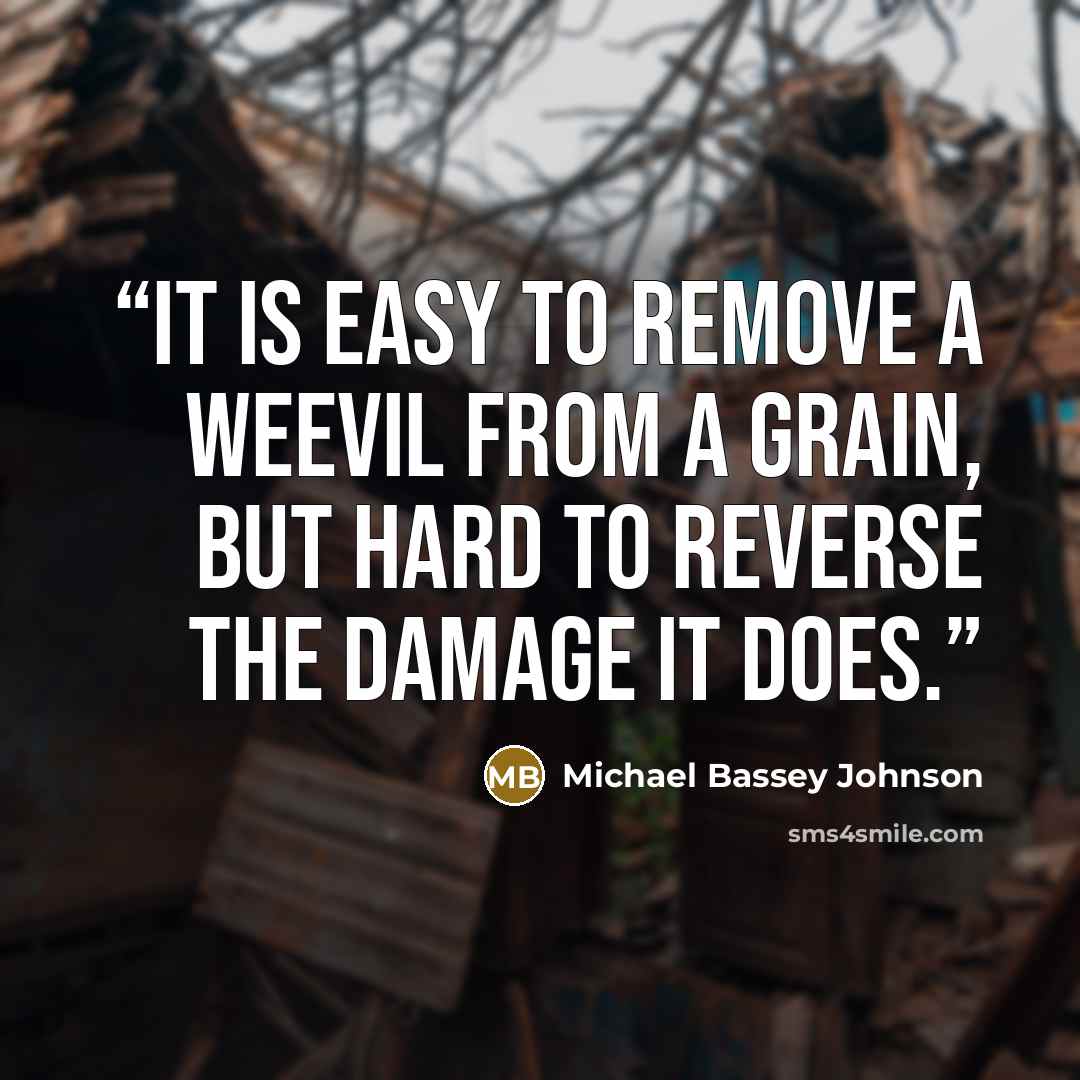 “It is easy to remove a weevil from a grain, but hard to reverse the damage it does.” quote by Michael Bassey Johnson