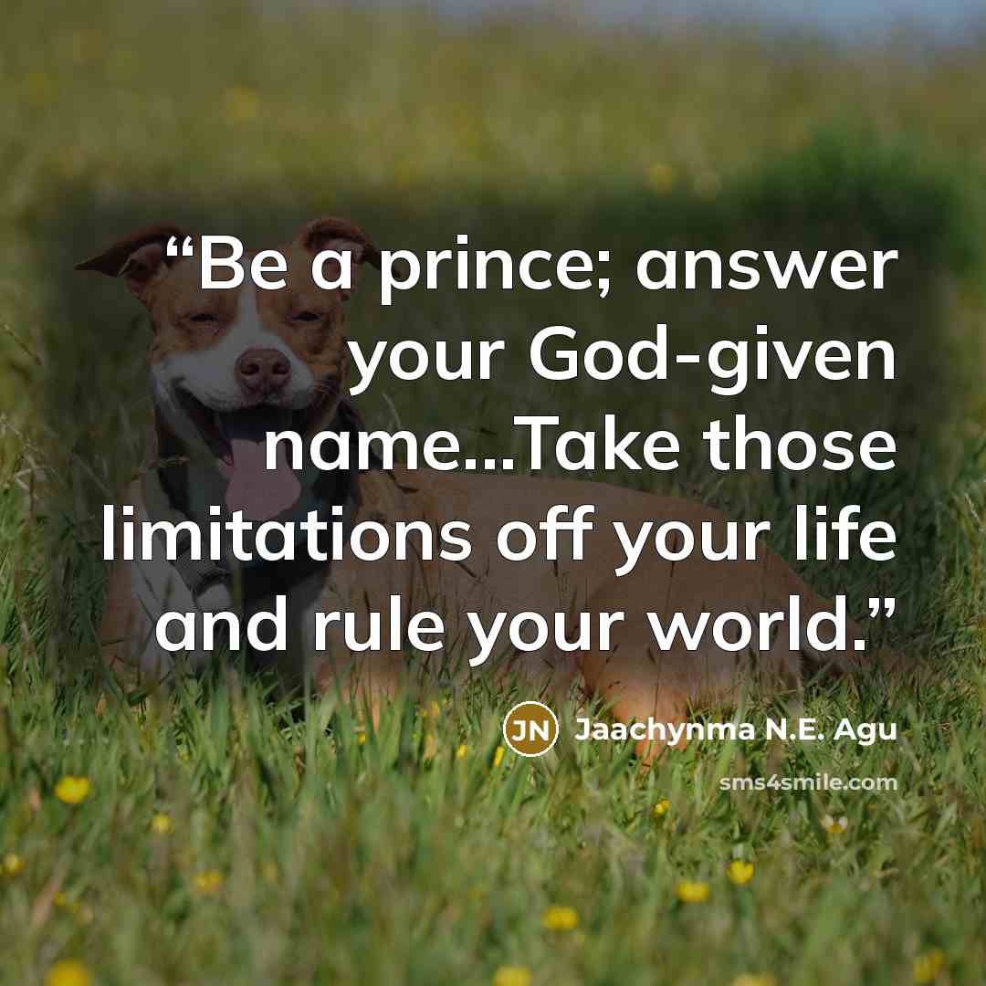 “Be a prince; answer your God-given name...Take those limitations off your life and rule your world.” quote by Jaachynma N.E. Agu