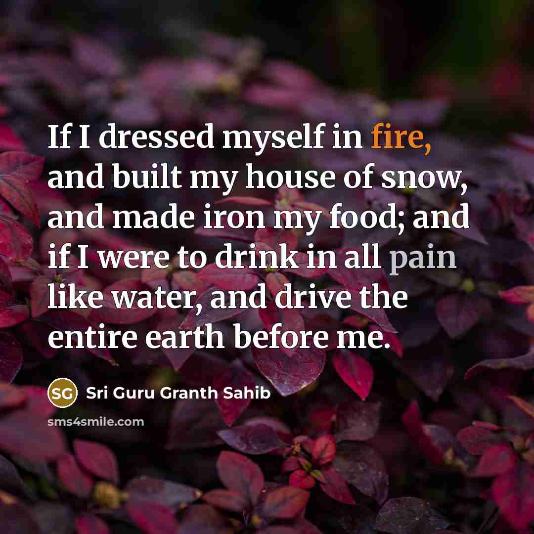 “If I dressed myself in fire, and built my house of snow, and made iron my food; and if I were to drink in all pain like water, and drive the entire earth before me.” quote by Sri Guru Granth Sahib