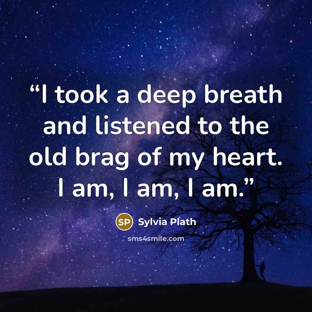 “I took a deep breath and listened to the old brag of my heart. I am, I am, I am.” quote by Sylvia Plath