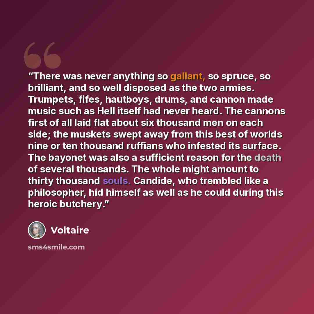 “There was never anything so gallant, so spruce, so brilliant, and so well disposed as the two armies. Trumpets, fifes, hautboys, drums, and cannon made music such as Hell itself had never heard. The cannons first of all laid flat about six thousand men on each side; the muskets swept away from…” quote by Voltaire