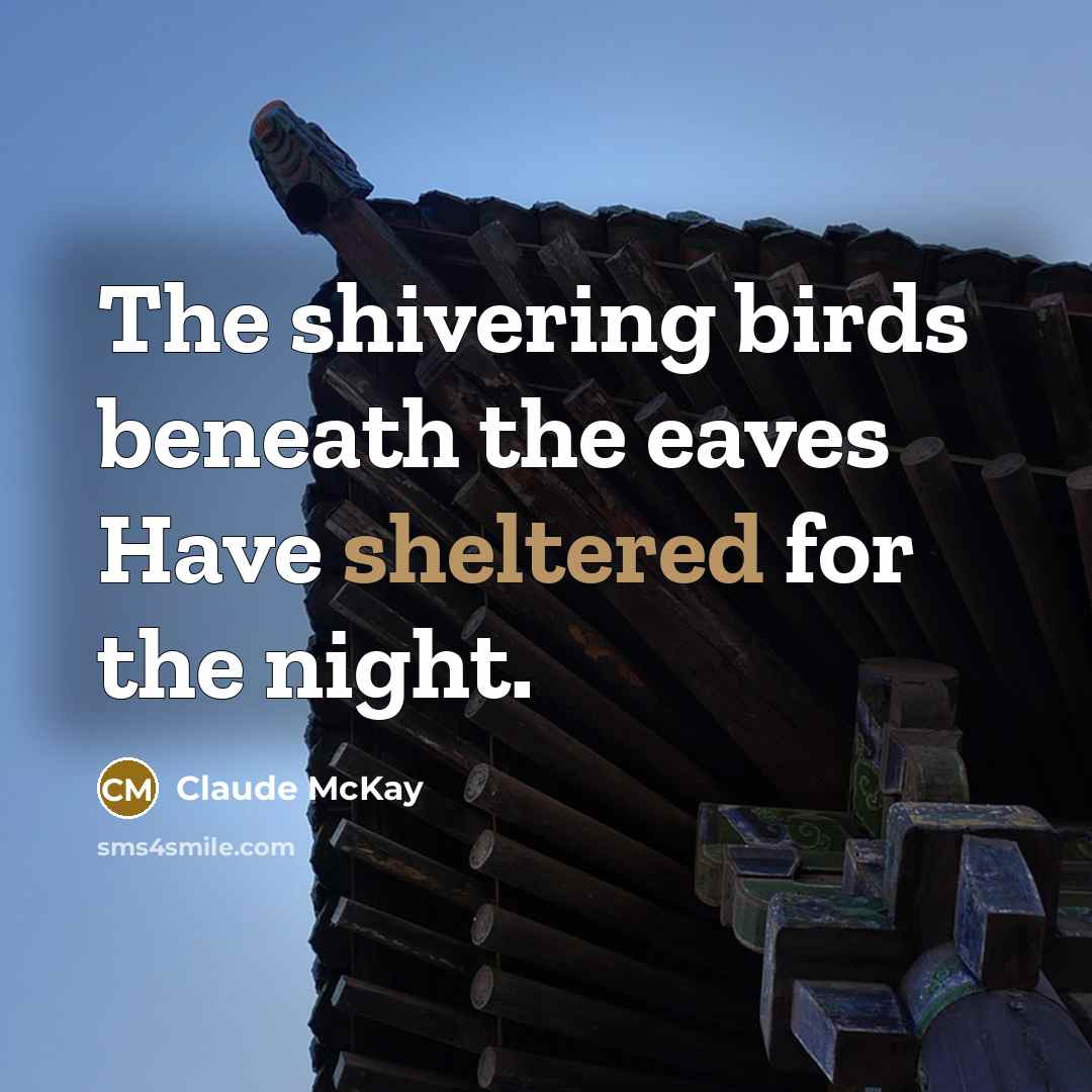 “The shivering birds beneath the eaves Have sheltered for the night.” quote by Claude McKay