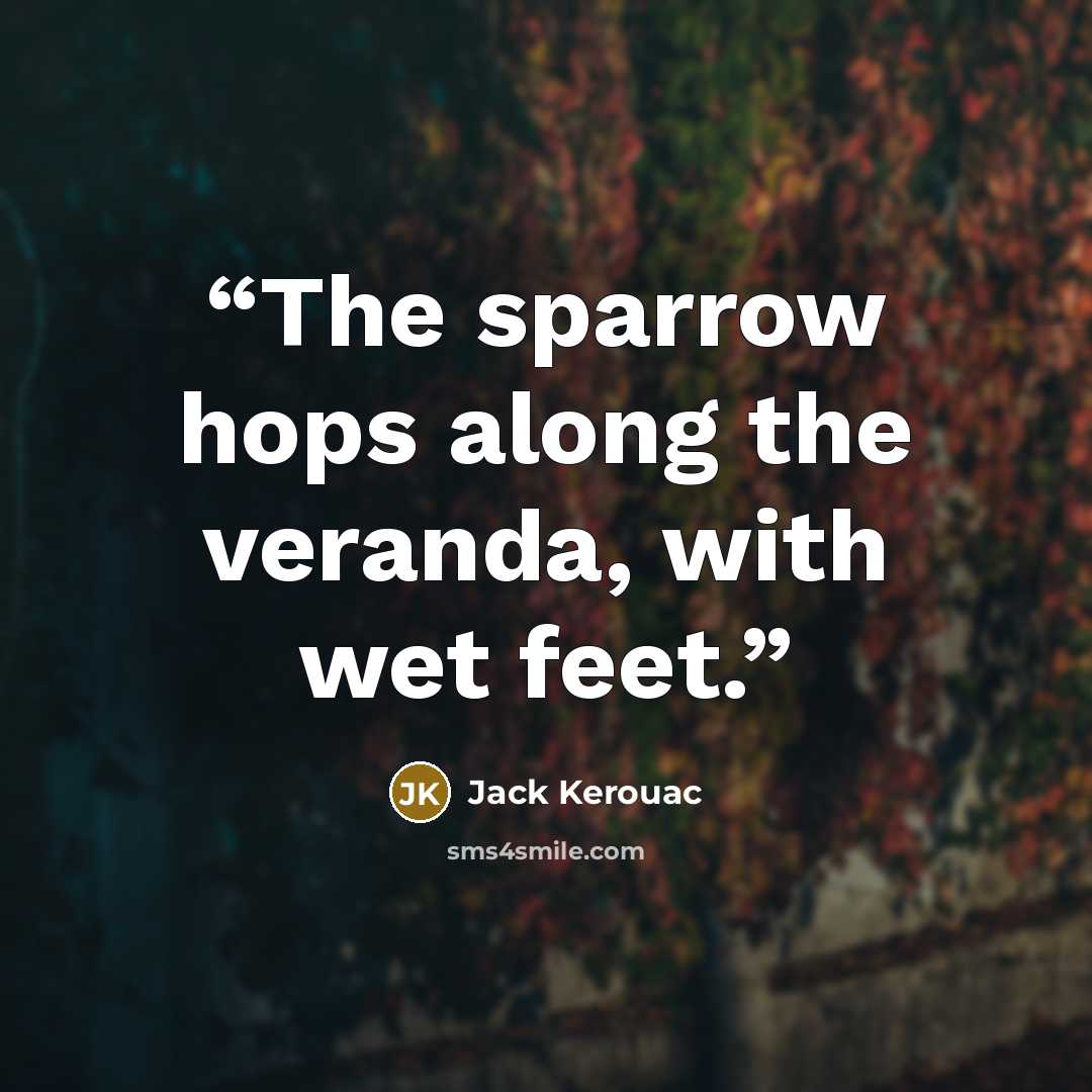 “The sparrow hops along the veranda, with wet feet.” quote by Jack Kerouac