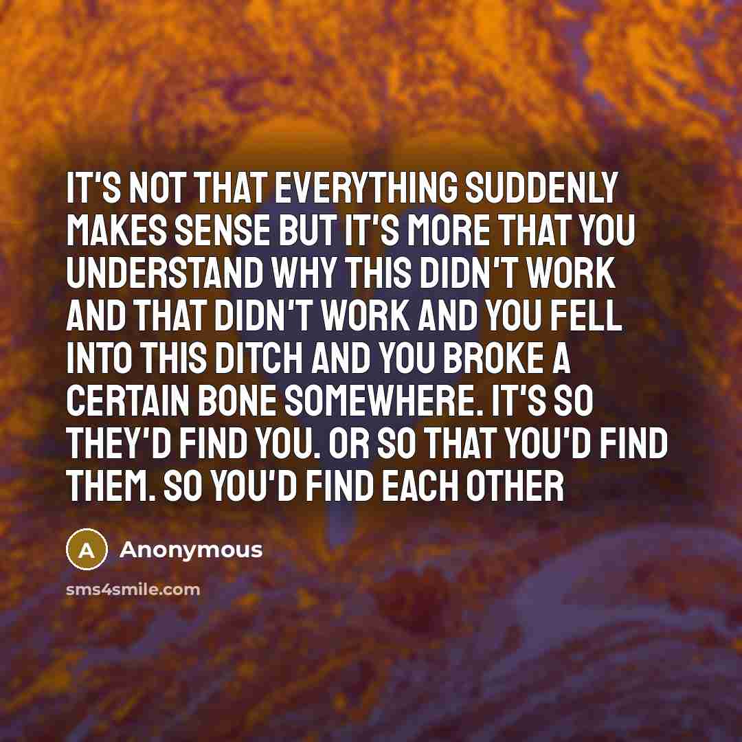 “It's not that everything suddenly makes sense but it's more that you understand why this didn't work and that didn't work and you fell into this ditch and you broke a certain bone somewhere. It's so they'd find you. Or so that you'd find them. So you'd find each other” quote by Anonymous