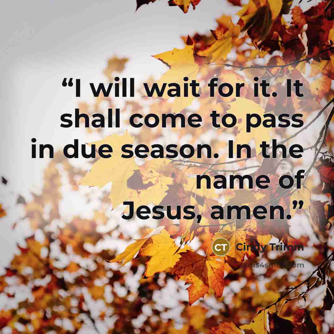 “I will wait for it. It shall come to pass in due season. In the name of Jesus, amen.” quote by Cindy Trimm