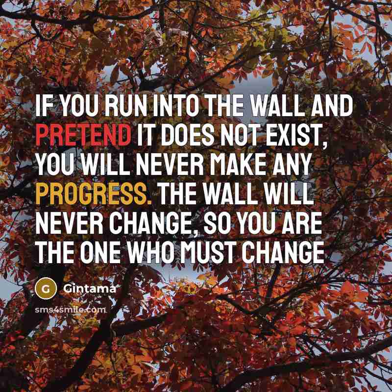 “If you run into the wall and pretend it does not exist, you will never make any progress. The wall will never change, so you are the one who must change” quote by Gintama