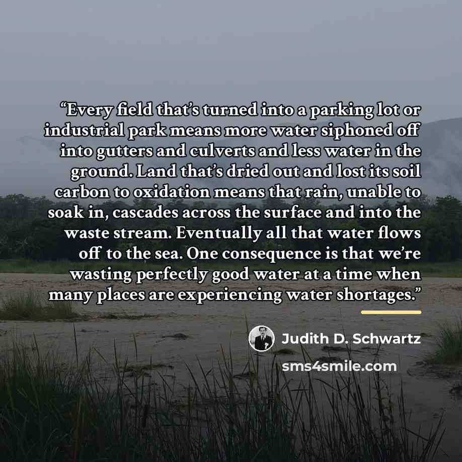 “Every field that’s turned into a parking lot or industrial park means more water siphoned off into gutters and culverts and less water in the ground. Land that’s dried out and lost its soil carbon to oxidation means that rain, unable to soak in, cascades across the surface and into the waste…” quote by Judith D. Schwartz