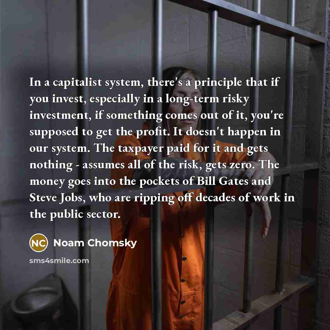 “In a capitalist system, there's a principle that if you invest, especially in a long-term risky investment, if something comes out of it, you're supposed to get the profit. It doesn't happen in our system. The taxpayer paid for it and gets nothing - assumes all of the risk, gets zero. The money…” quote by Noam Chomsky