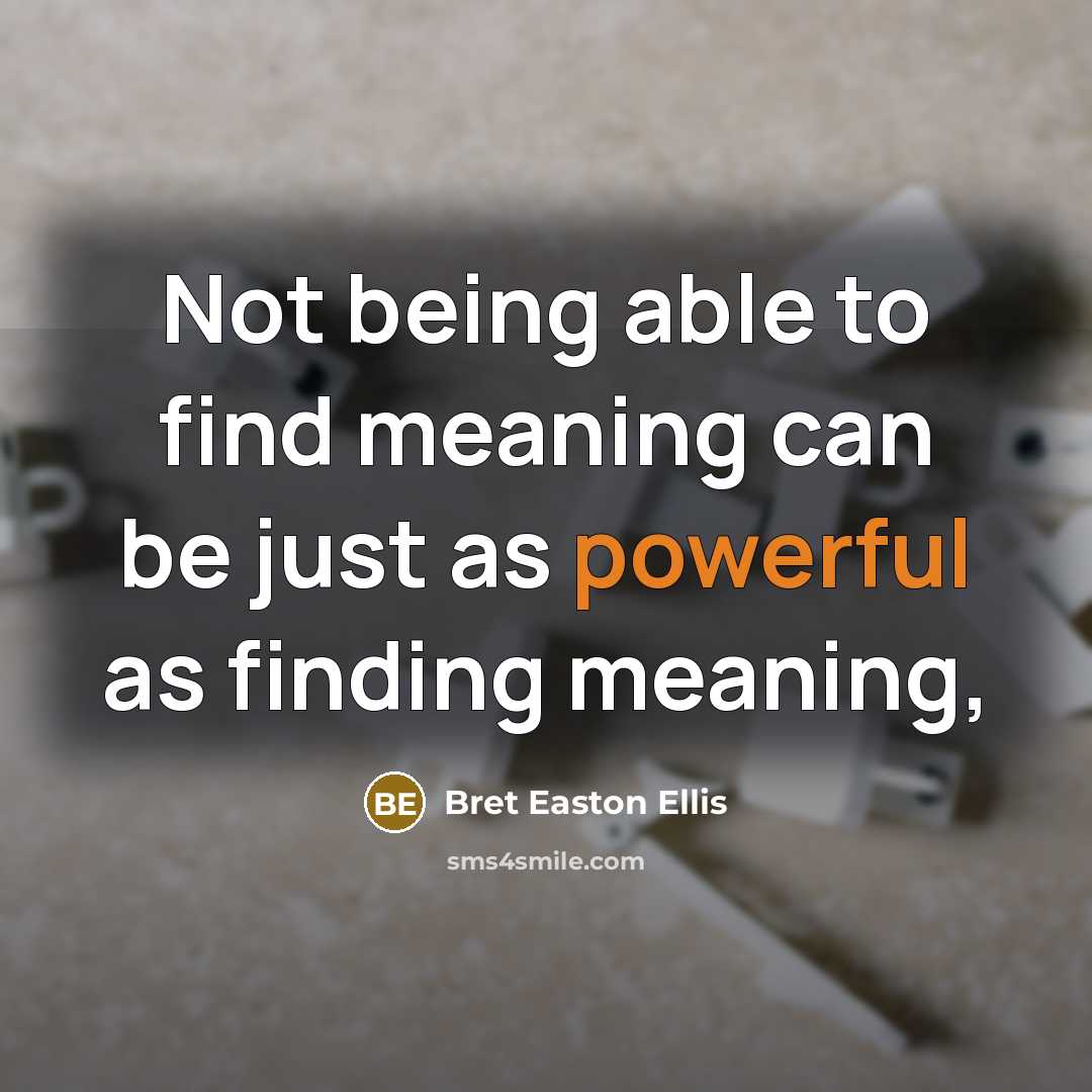 “Not being able to find meaning can be just as powerful as finding meaning,” quote by Bret Easton Ellis