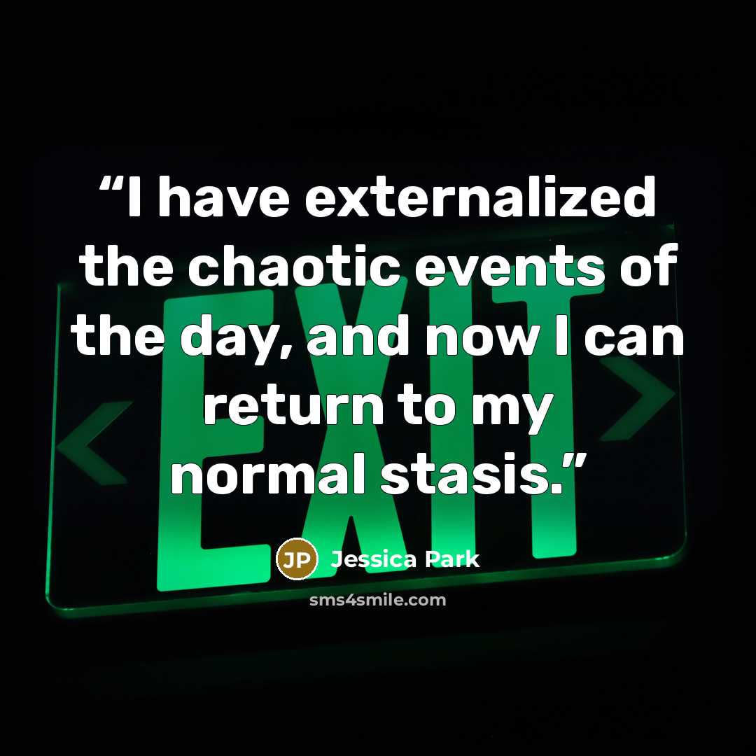 “I have externalized the chaotic events of the day, and now I can return to my normal stasis.” quote by Jessica Park