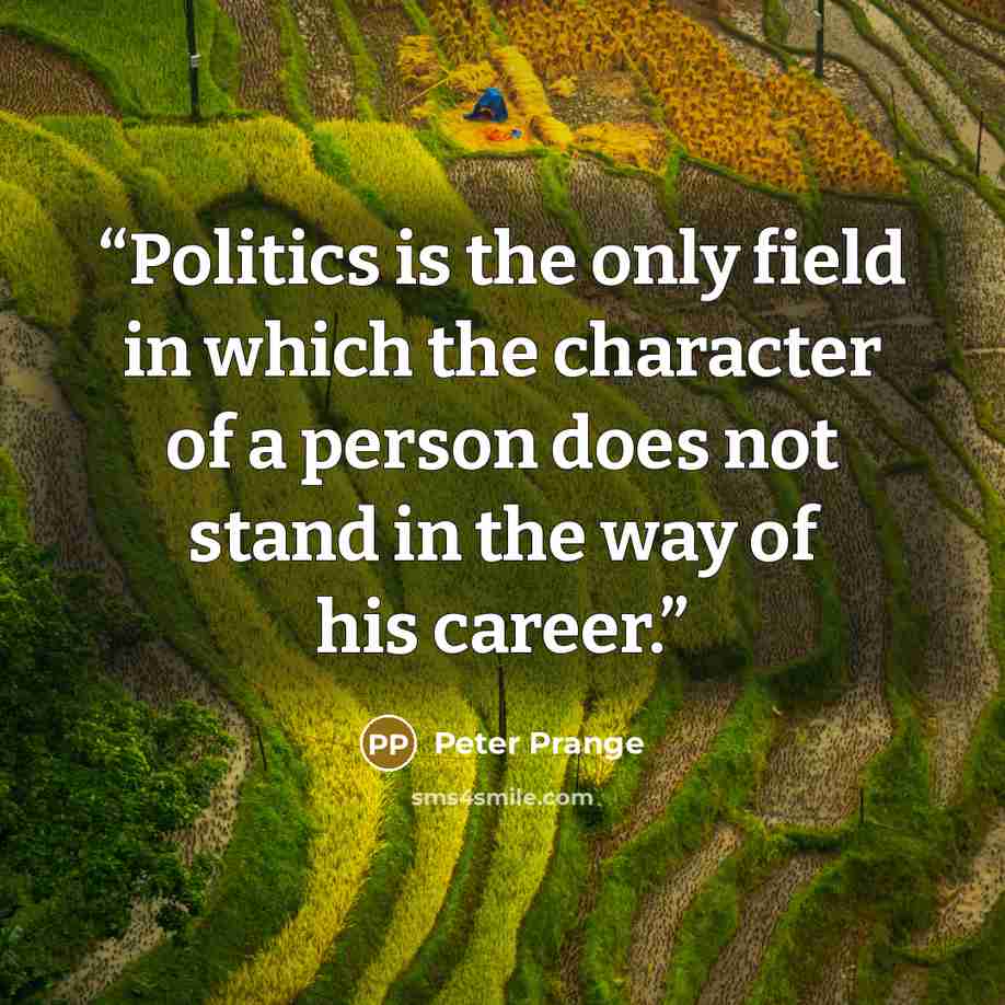 “Politics is the only field in which the character of a person does not stand in the way of his career.” quote by Peter Prange