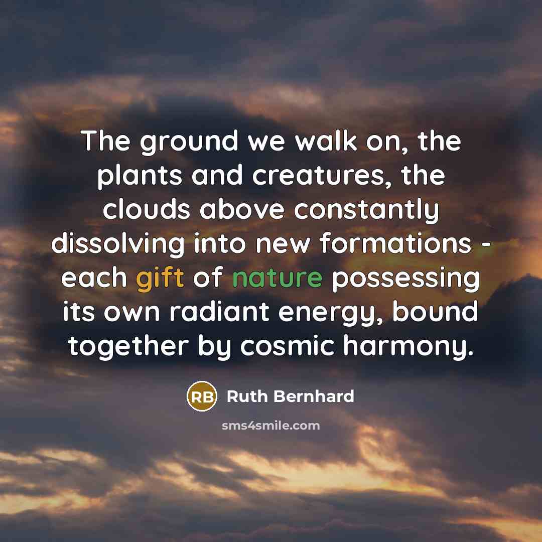 “The ground we walk on, the plants and creatures, the clouds above constantly dissolving into new formations - each gift of nature possessing its own radiant energy, bound together by cosmic harmony.” quote by Ruth Bernhard