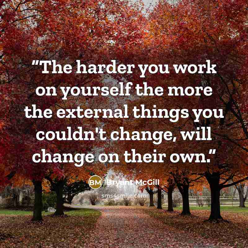 “The harder you work on yourself the more the external things you couldn't change, will change on their own.” quote by Bryant McGill