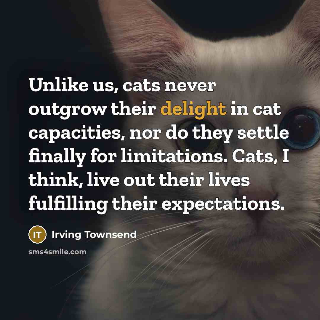 “Unlike us, cats never outgrow their delight in cat capacities, nor do they settle finally for limitations. Cats, I think, live out their lives fulfilling their expectations.” quote by Irving Townsend