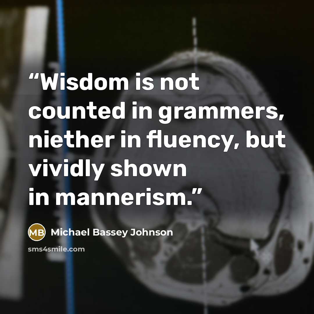 “Wisdom is not counted in grammers, niether in fluency, but vividly shown in mannerism.” quote by Michael Bassey Johnson