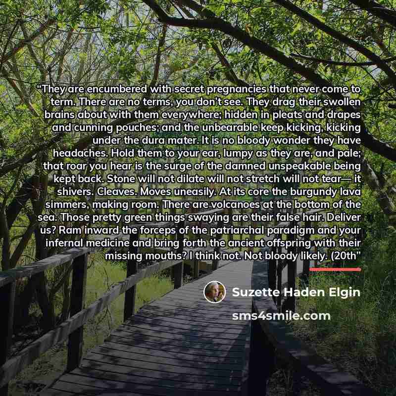 “They are encumbered with secret pregnancies that never come to term. There are no terms, you don’t see. They drag their swollen brains about with them everywhere; hidden in pleats and drapes and cunning pouches; and the unbearable keep kicking, kicking under the dura mater. It is no bloody wonder…” quote by Suzette Haden Elgin