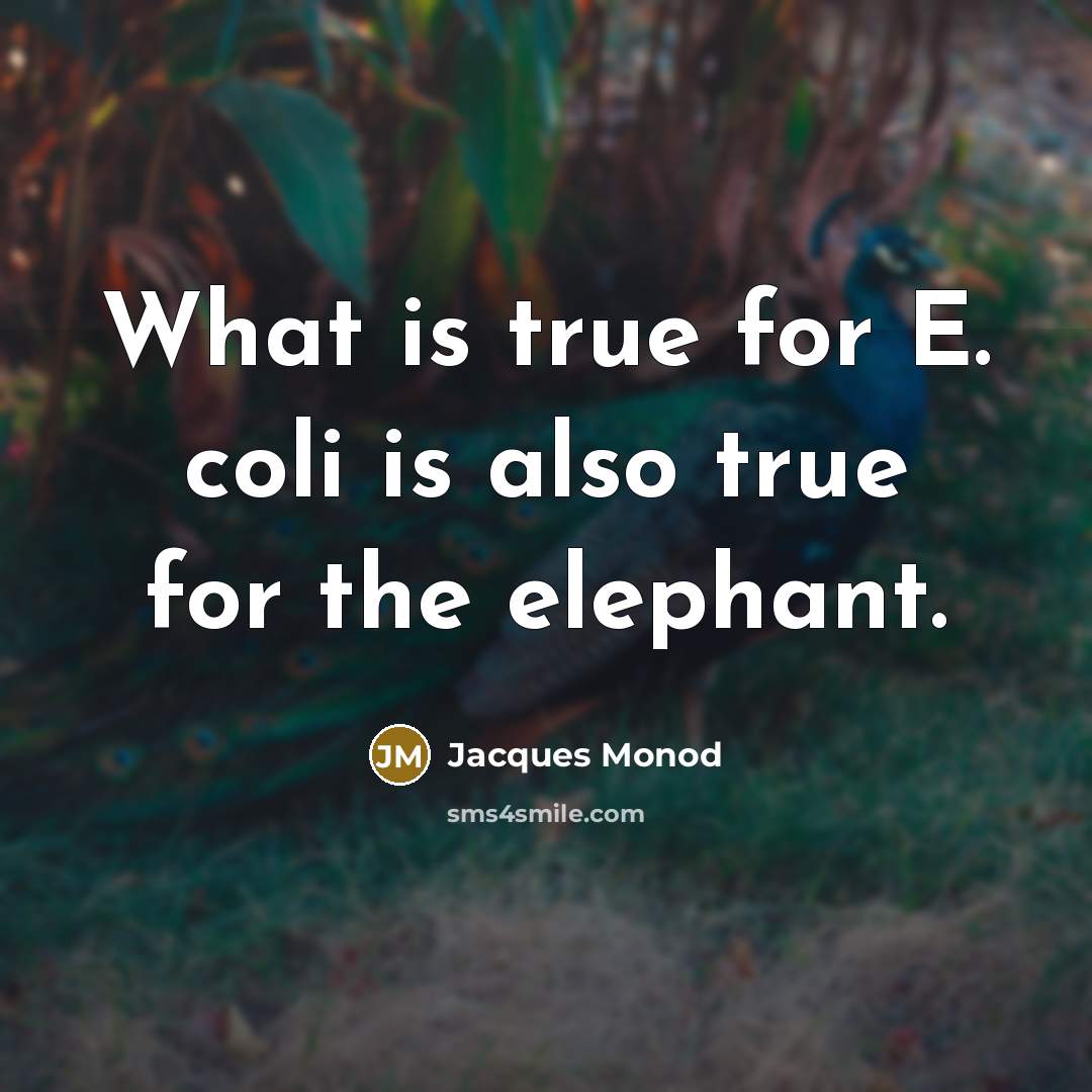 “What is true for E. coli is also true for the elephant.” quote by Jacques Monod