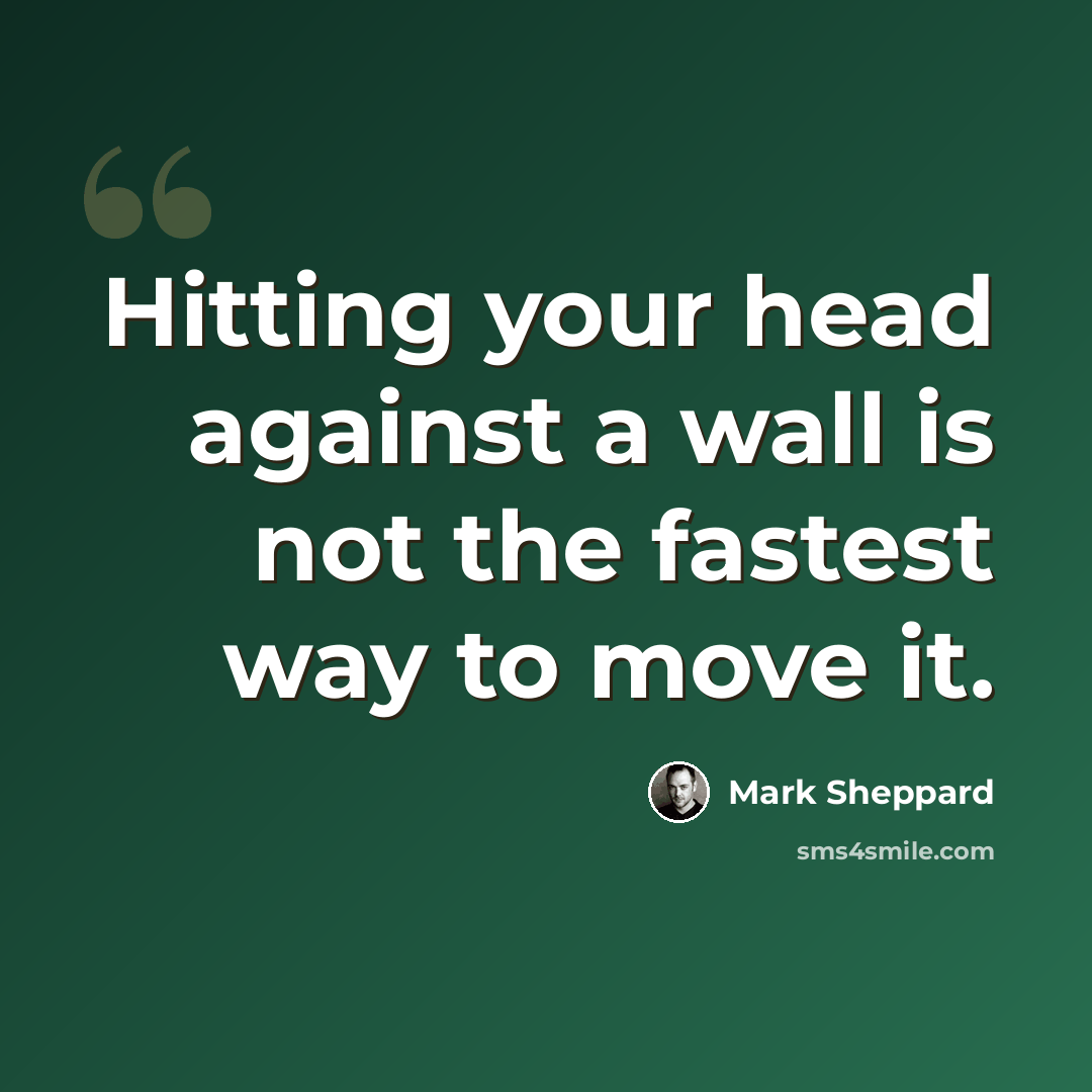 “Hitting your head against a wall is not the fastest way to move it.” quote by Mark Sheppard