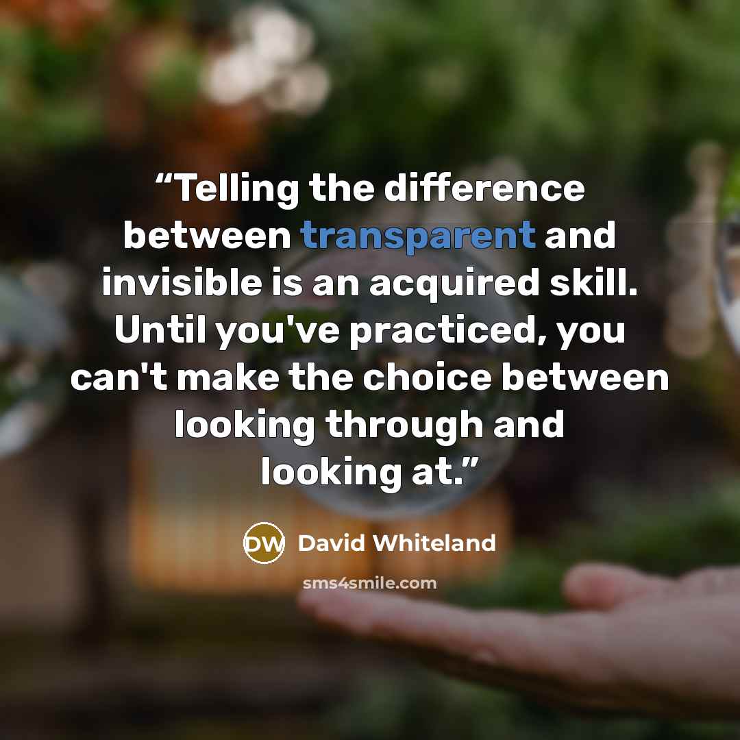 “Telling the difference between transparent and invisible is an acquired skill. Until you've practiced, you can't make the choice between looking through and looking at.” quote by David Whiteland