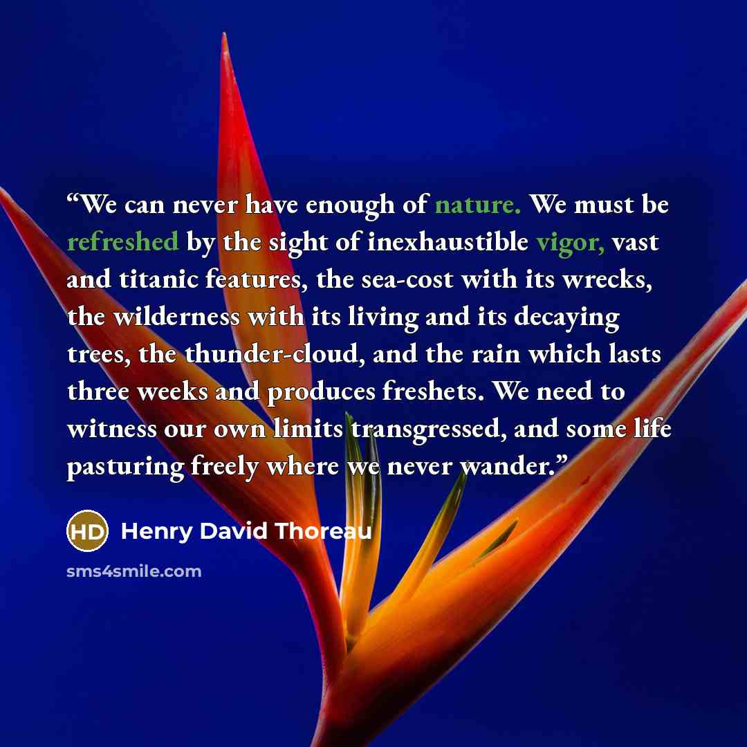 “We can never have enough of nature. We must be refreshed by the sight of inexhaustible vigor, vast and titanic features, the sea-cost with its wrecks, the wilderness with its living and its decaying trees, the thunder-cloud, and the rain which lasts three weeks and produces freshets. We need to…” quote by Henry David Thoreau