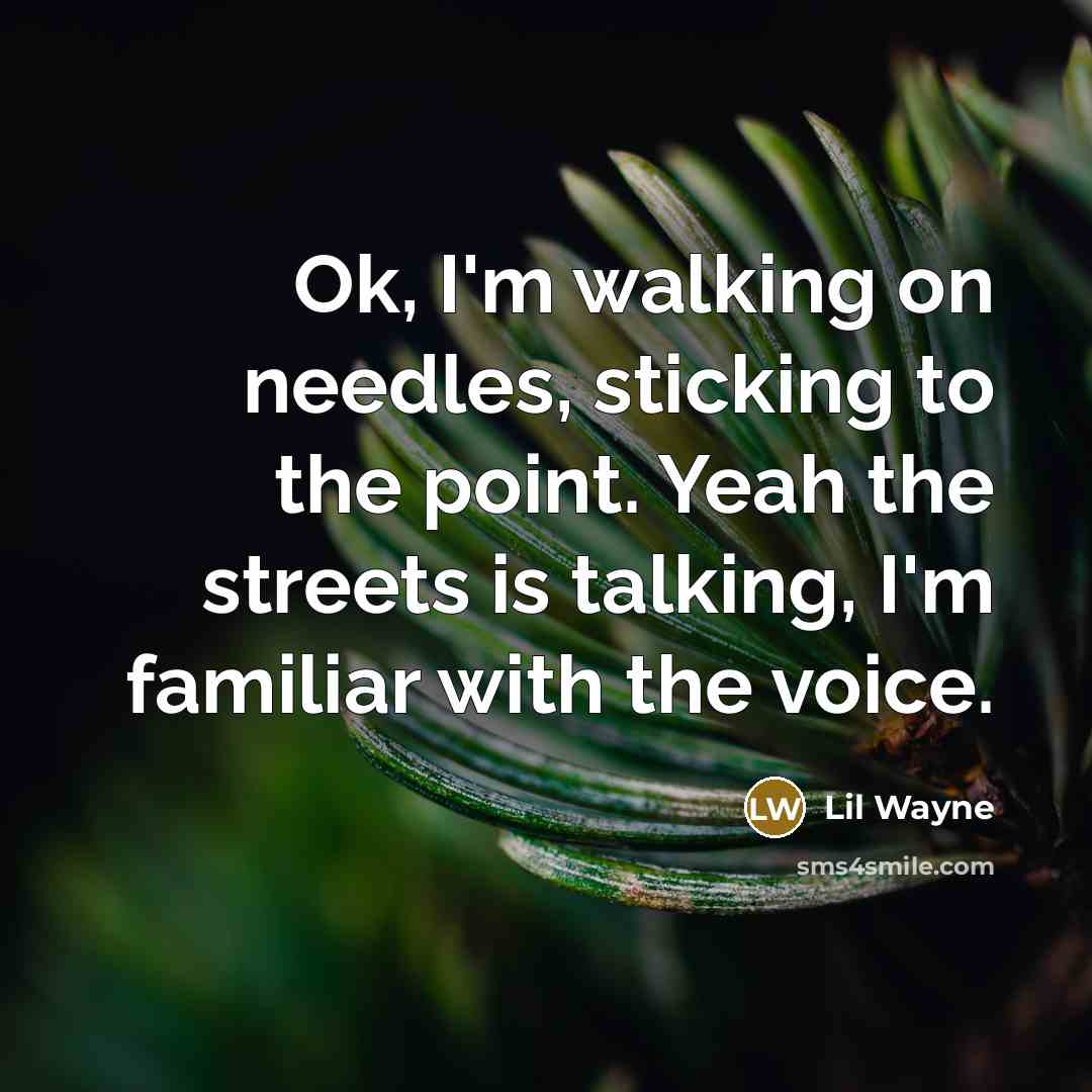 “Ok, I'm walking on needles, sticking to the point. Yeah the streets is talking, I'm familiar with the voice.” quote by Lil Wayne