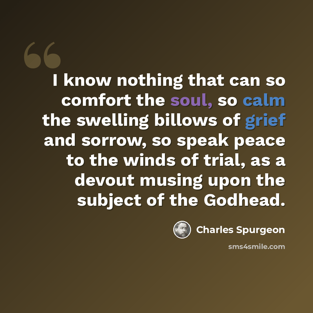 “I know nothing that can so comfort the soul, so calm the swelling billows of grief and sorrow, so speak peace to the winds of trial, as a devout musing upon the subject of the Godhead.” quote by Charles Spurgeon