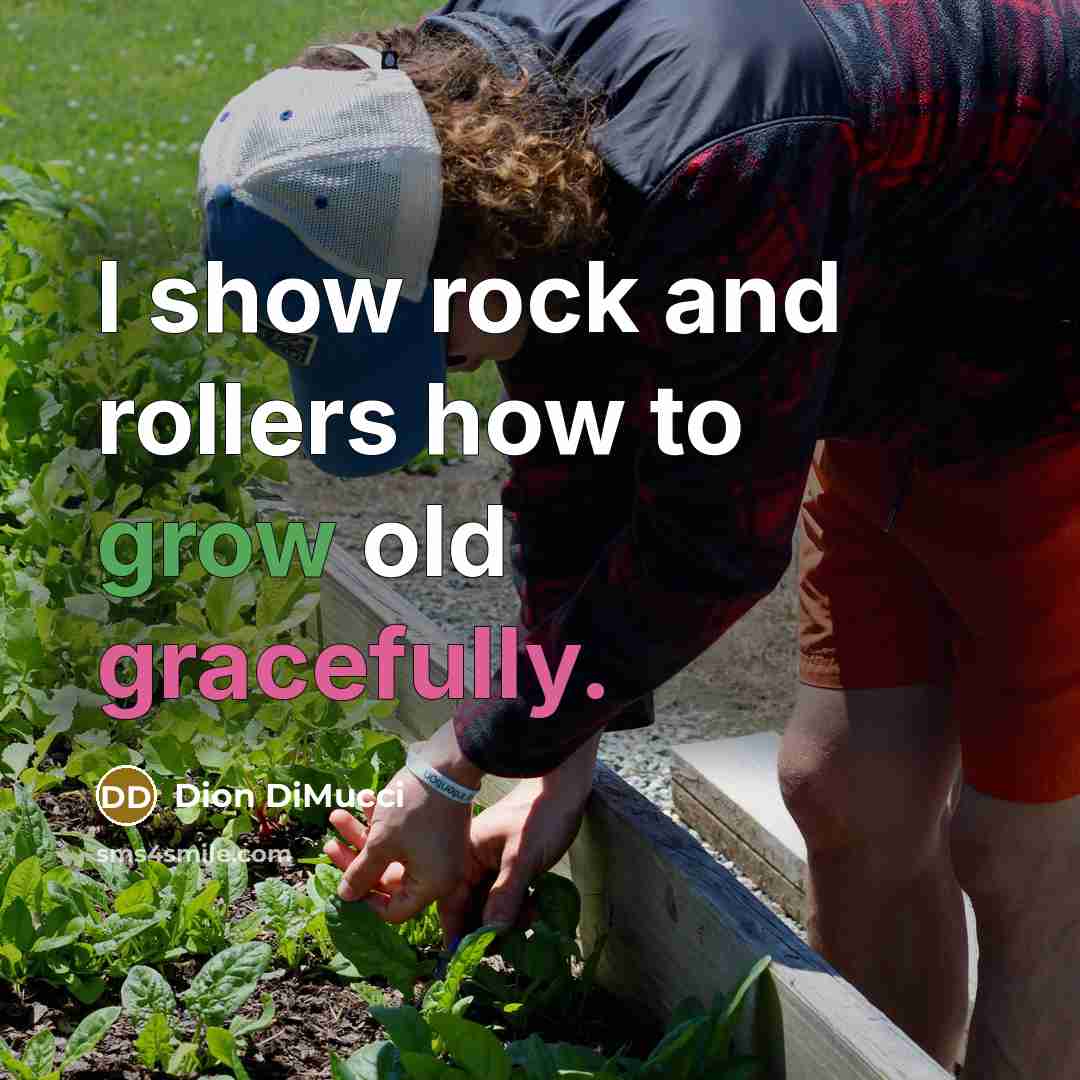 “I show rock and rollers how to grow old gracefully.” quote by Dion DiMucci