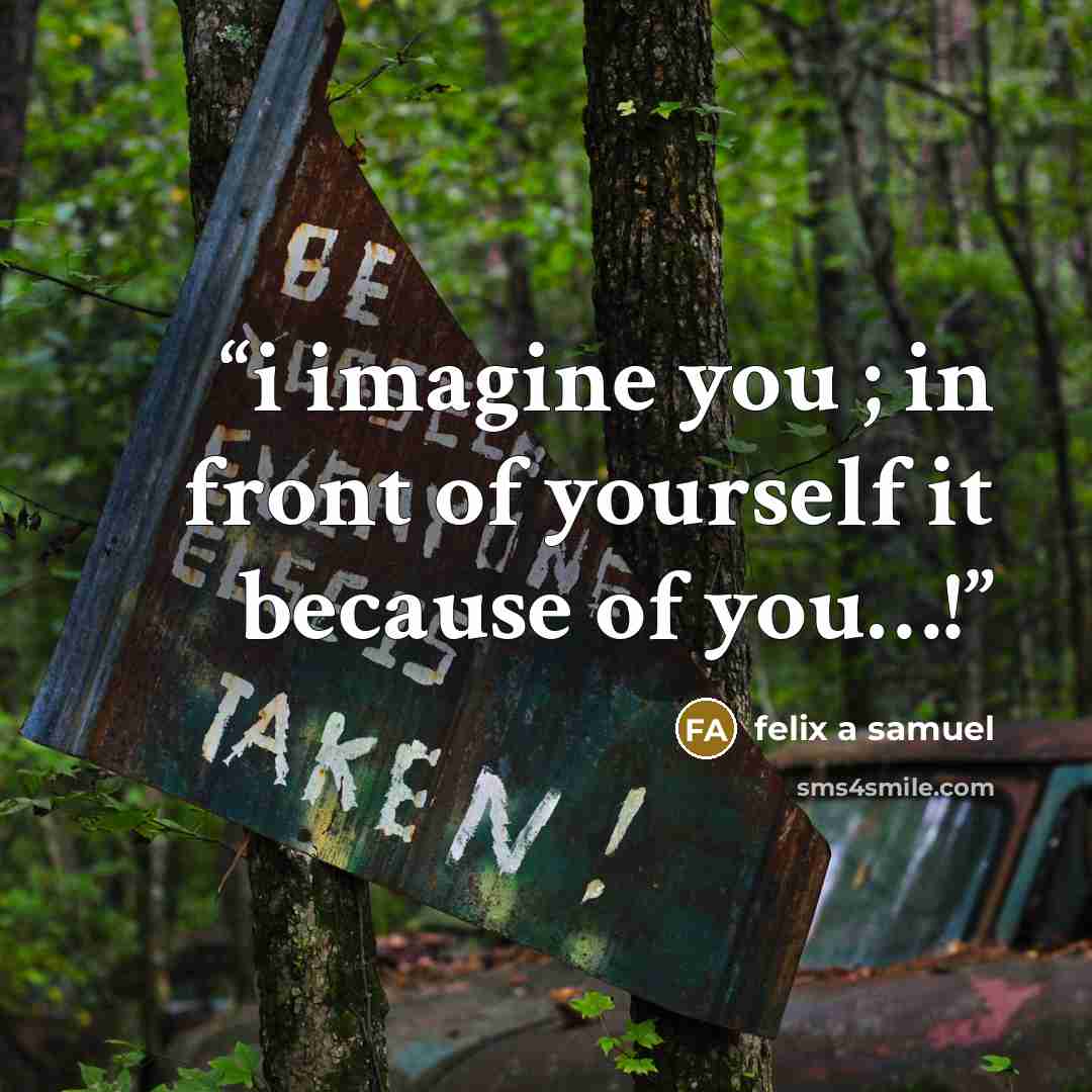 “i imagine you ; in front of yourself it because of you…!” quote by felix a samuel