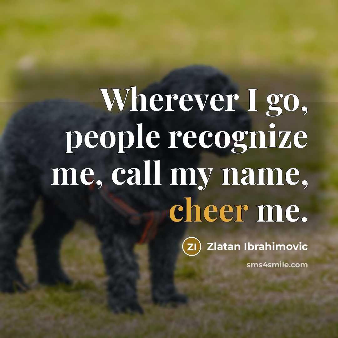 “Wherever I go, people recognize me, call my name, cheer me.” quote by Zlatan Ibrahimovic