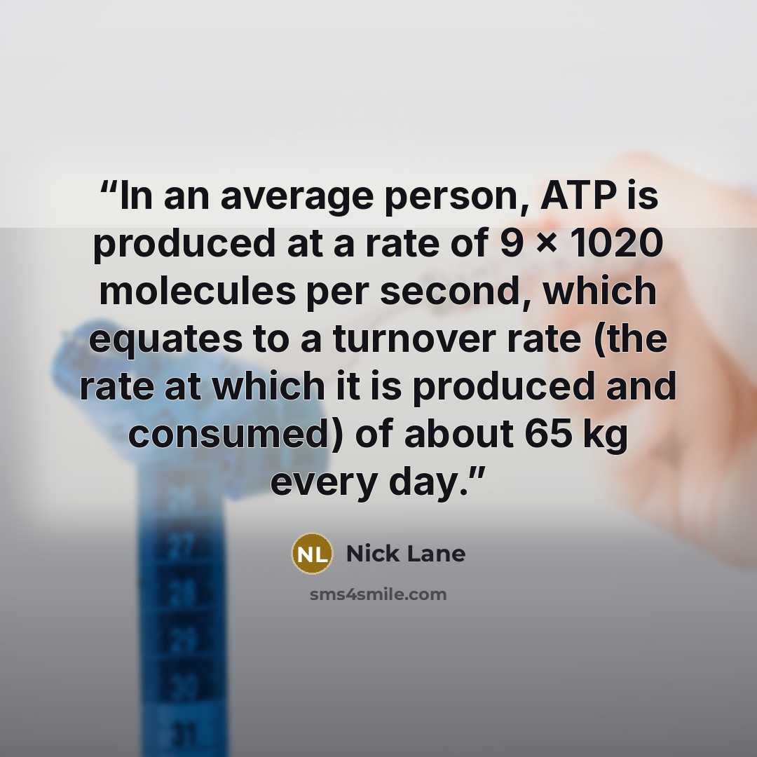 “In an average person, ATP is produced at a rate of 9 × 1020 molecules per second, which equates to a turnover rate (the rate at which it is produced and consumed) of about 65 kg every day.” quote by Nick Lane