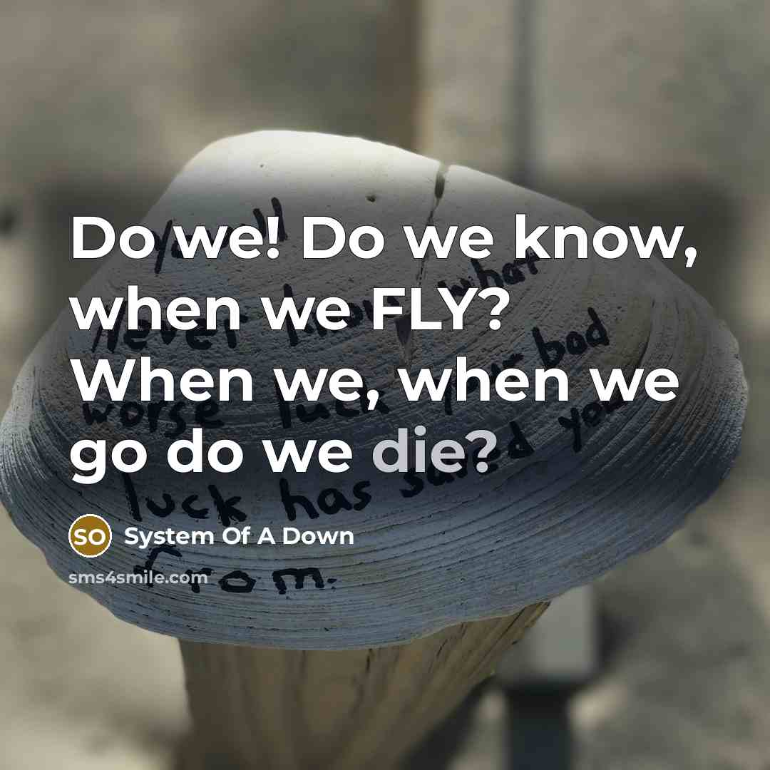 “Do we! Do we know, when we FLY? When we, when we go do we die?” quote by System Of A Down