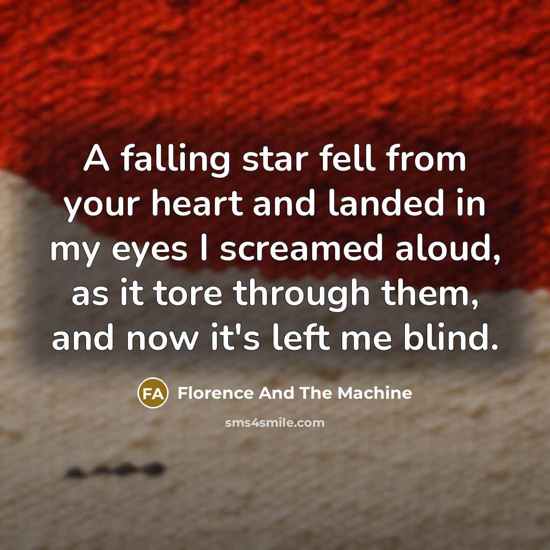“A falling star fell from your heart and landed in my eyes I screamed aloud, as it tore through them, and now it's left me blind.” quote by Florence And The Machine