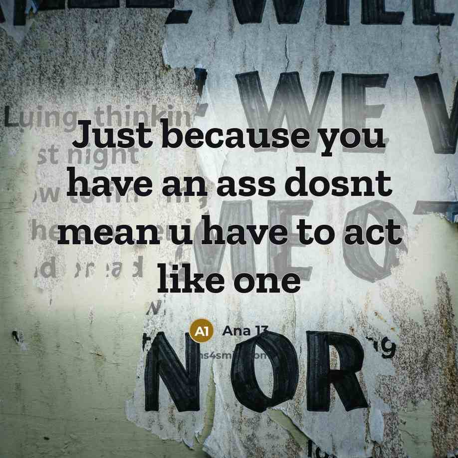 “Just because you have an ass dosnt mean u have to act like one” quote by Ana 13
