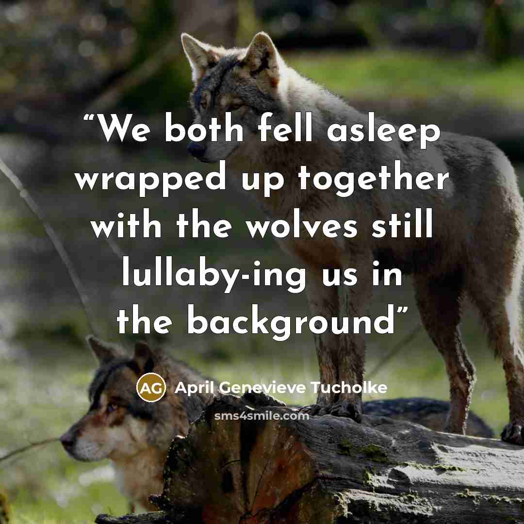 “We both fell asleep wrapped up together with the wolves still lullaby-ing us in the background” quote by April Genevieve Tucholke