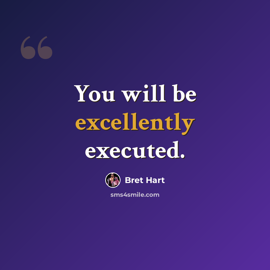 “You will be excellently executed.” quote by Bret Hart