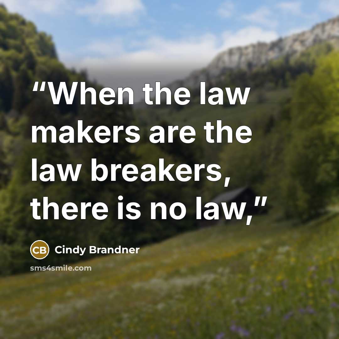 “When the law makers are the law breakers, there is no law,” quote by Cindy Brandner