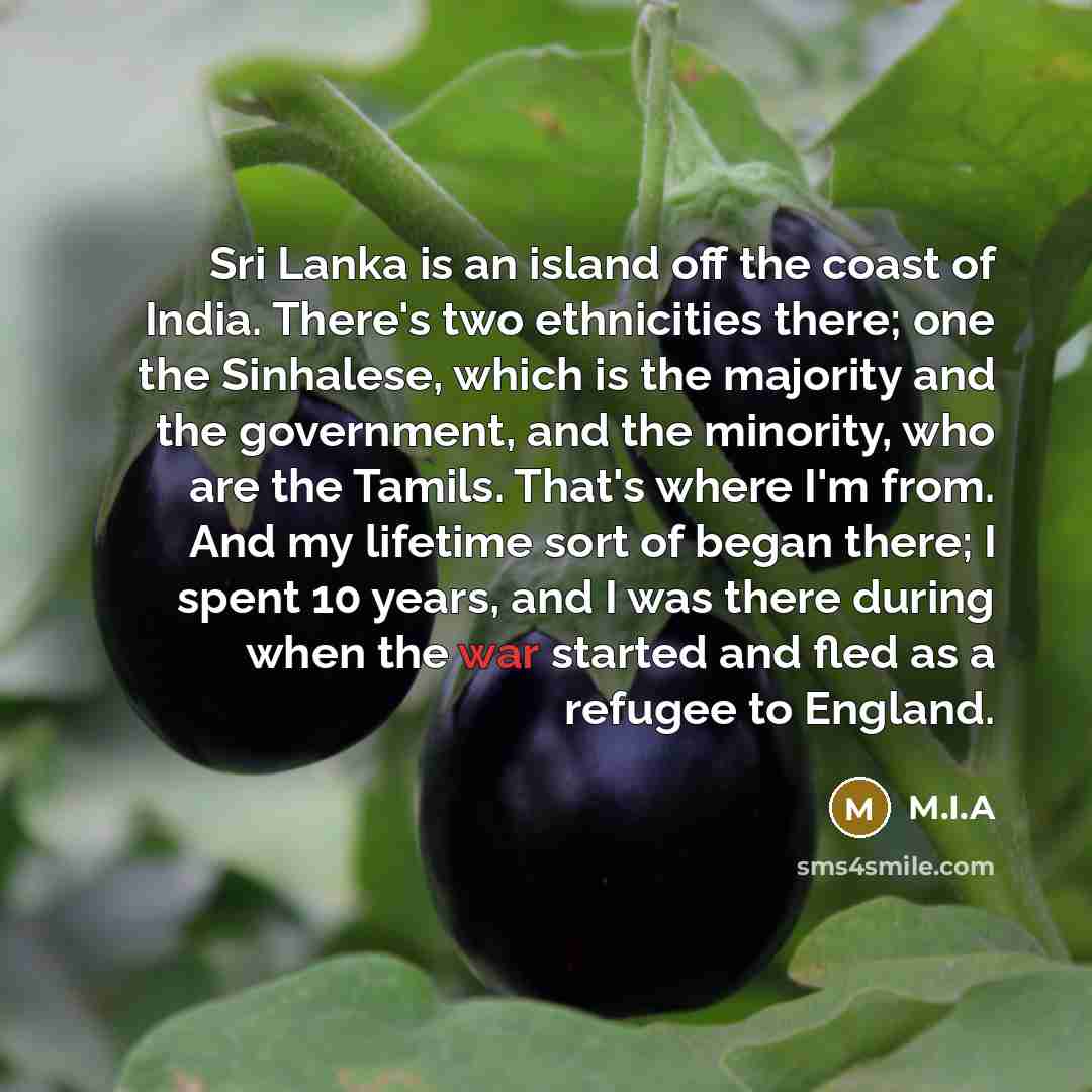 “Sri Lanka is an island off the coast of India. There's two ethnicities there; one the Sinhalese, which is the majority and the government, and the minority, who are the Tamils. That's where I'm from. And my lifetime sort of began there; I spent 10 years, and I was there during when the war started…” quote by M.I.A