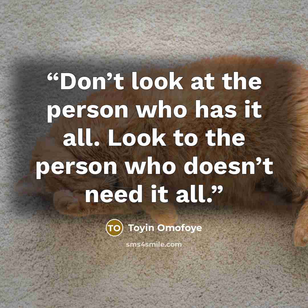 “Don’t look at the person who has it all. Look to the person who doesn’t need it all.” quote by Toyin Omofoye