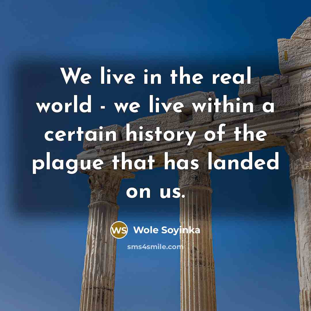 “We live in the real world - we live within a certain history of the plague that has landed on us.” quote by Wole Soyinka