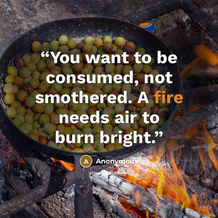 “You want to be consumed, not smothered. A fire needs air to burn bright.” quote by Anonymous