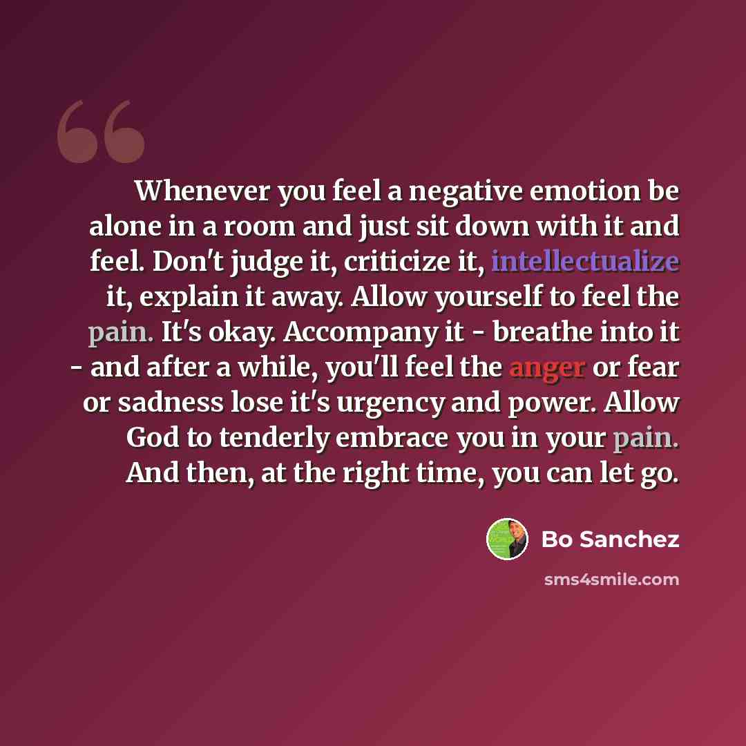 “Whenever you feel a negative emotion be alone in a room and just sit down with it and feel. Don't judge it, criticize it, intellectualize it, explain it away. Allow yourself to feel the pain. It's okay. Accompany it - breathe into it - and after a while, you'll feel the anger or fear or sadness…” quote by Bo Sanchez