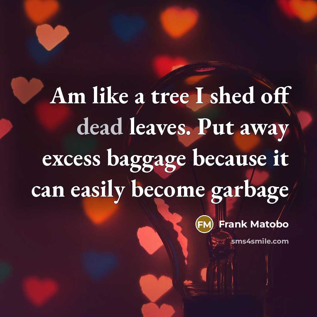 “Am like a tree I shed off dead leaves. Put away excess baggage because it can easily become garbage” quote by Frank Matobo