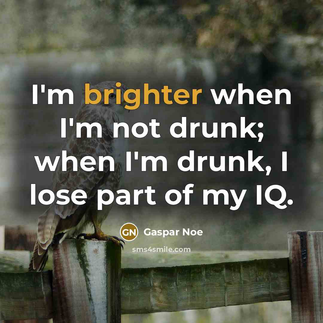“I'm brighter when I'm not drunk; when I'm drunk, I lose part of my IQ.” quote by Gaspar Noe