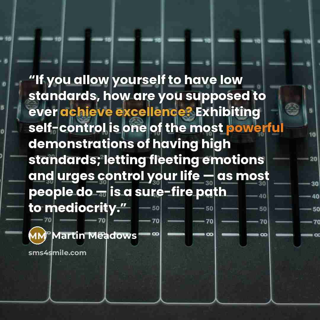 “If you allow yourself to have low standards, how are you supposed to ever achieve excellence? Exhibiting self-control is one of the most powerful demonstrations of having high standards; letting fleeting emotions and urges control your life — as most people do — is a sure-fire path to mediocrity.” quote by Martin Meadows