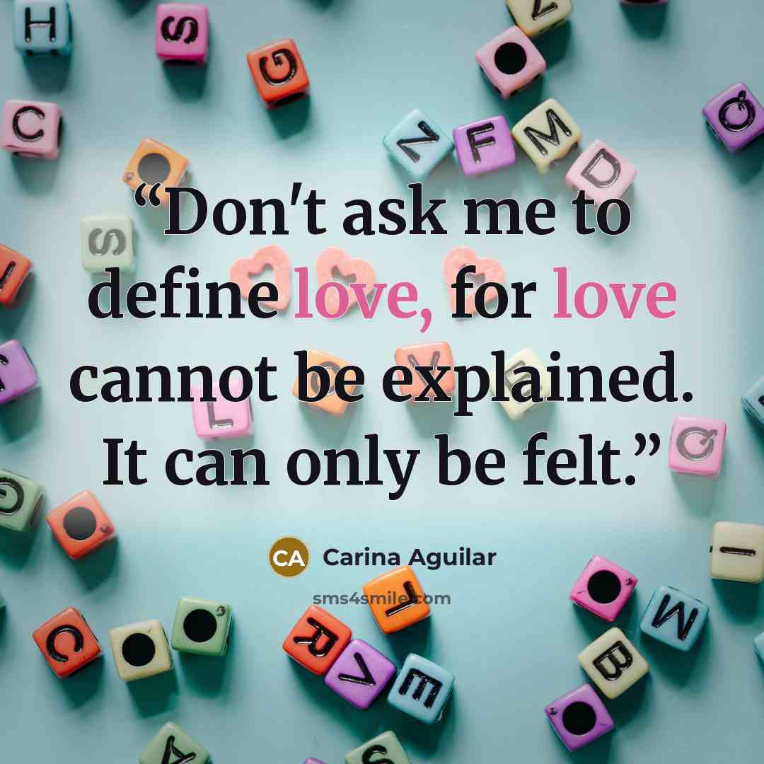 “Don't ask me to define love, for love cannot be explained. It can only be felt.” quote by Carina Aguilar